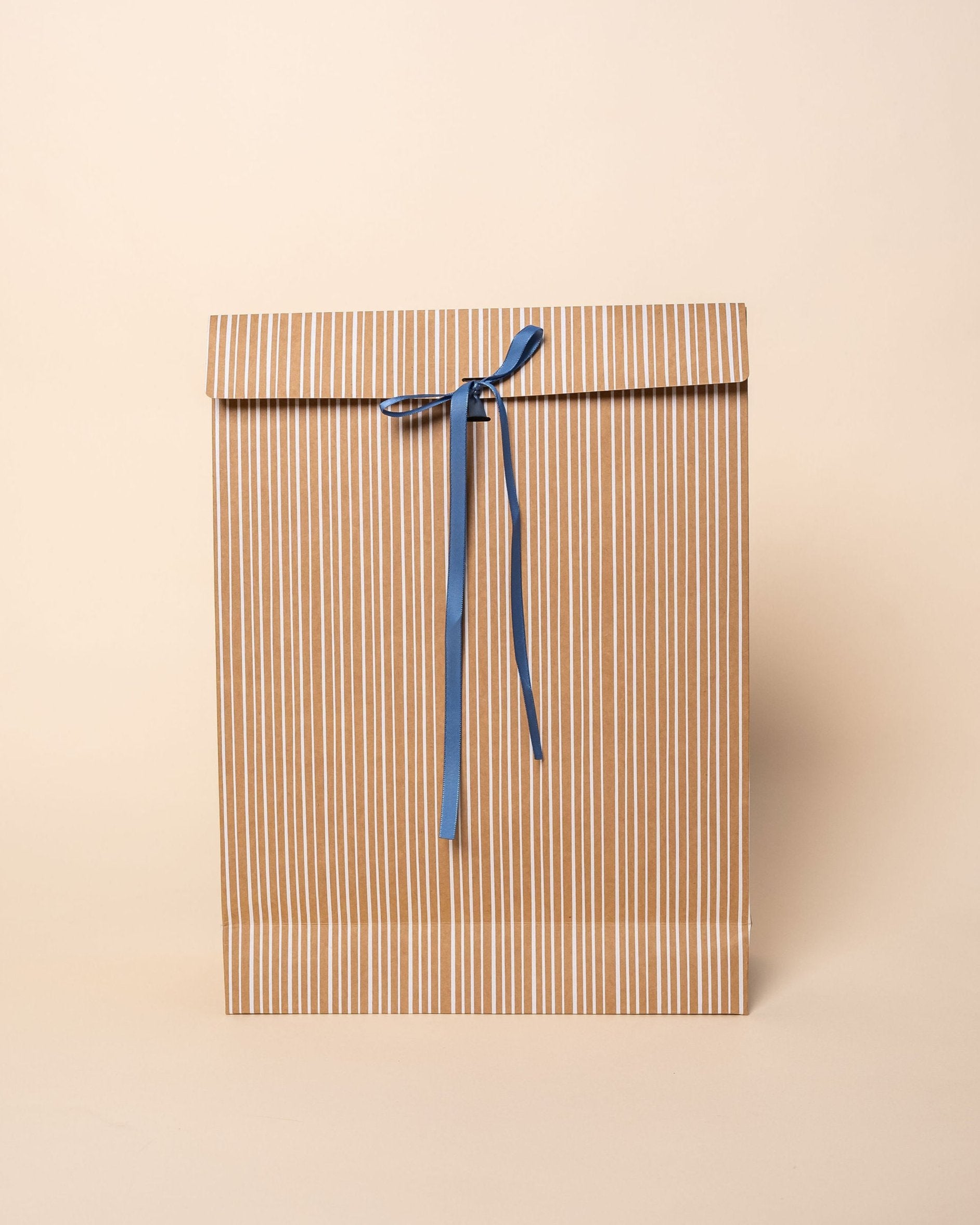 'Kraft Stripe' Gift Bags with Ribbon -- Set of 6 – Parcel Paper